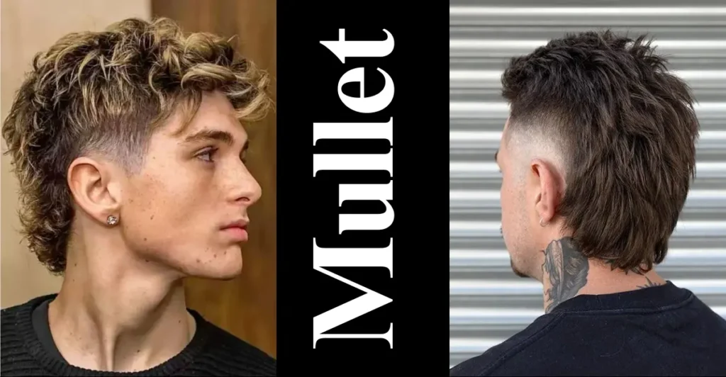 Mullet