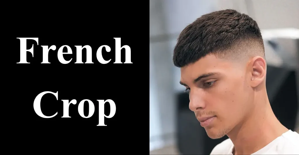 French Crop